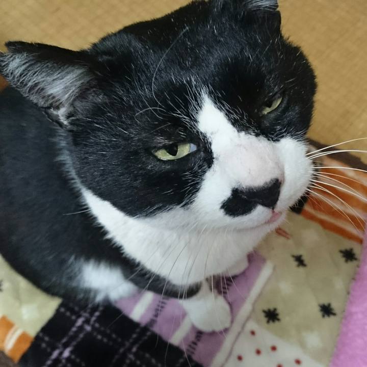 A0145508 61f3 404b babe 2c515d31058a