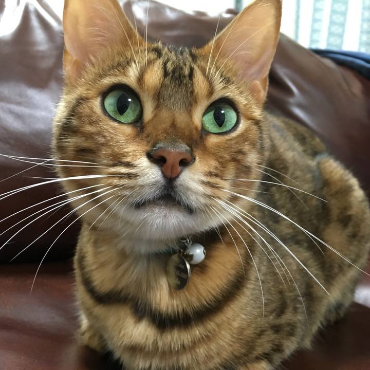 A01509a2 ead5 445a 99d5 90f5054ed1cb