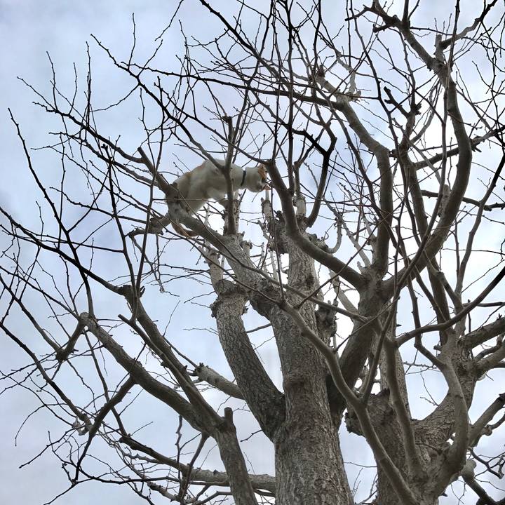 A0155b4b 5d13 47fa 8011 86aea93196ec