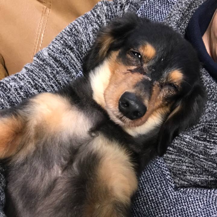 A015fef8 82ce 441b a8bf 5d80fd99b55b