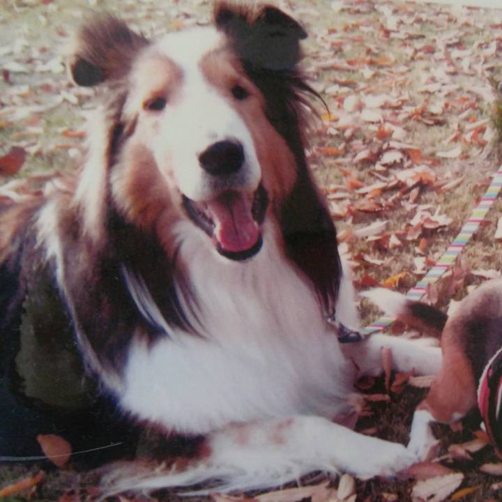 A016dd27 07a8 4cef 975b 413c23ff27a0