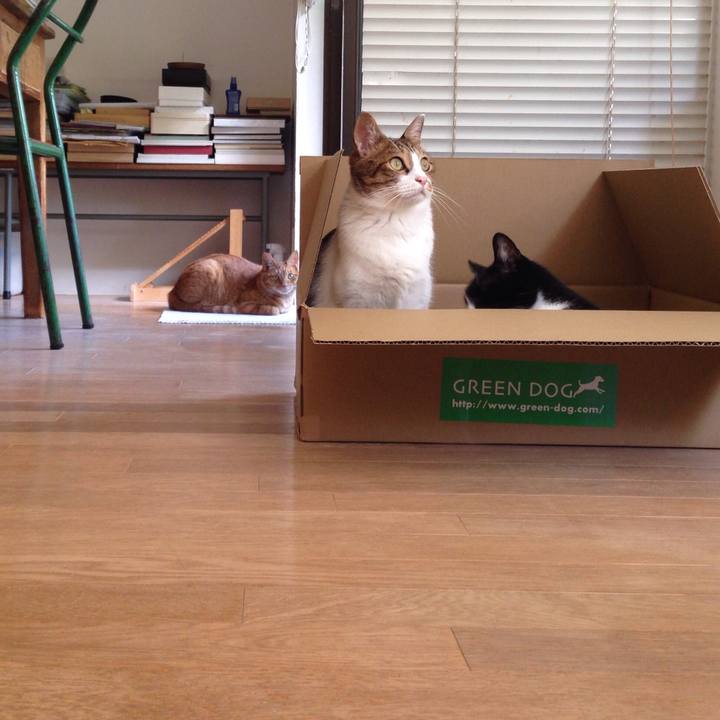 A017aca2 3270 4a7a a3b6 04a33fb625b4