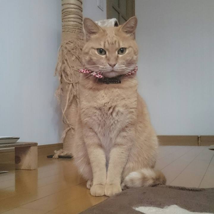 A017b541 a871 4492 a651 f3028c33513b