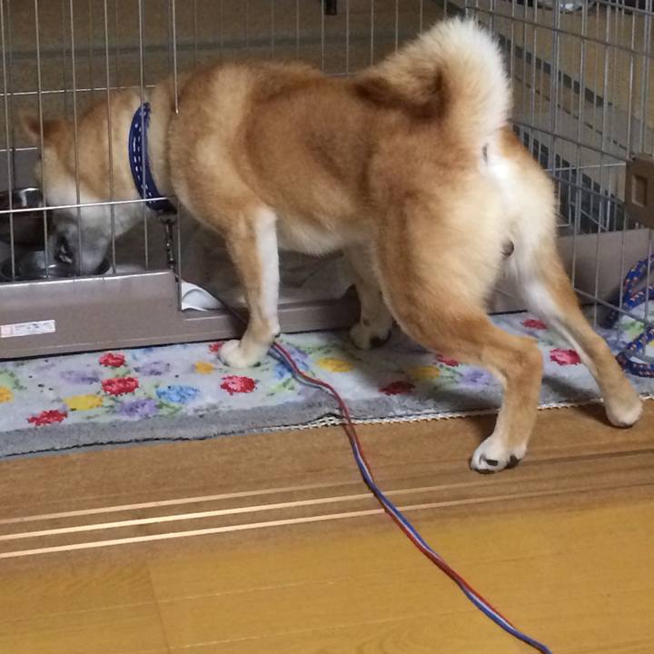 A0188ca2 e193 4ed6 bce5 88b83a148a61