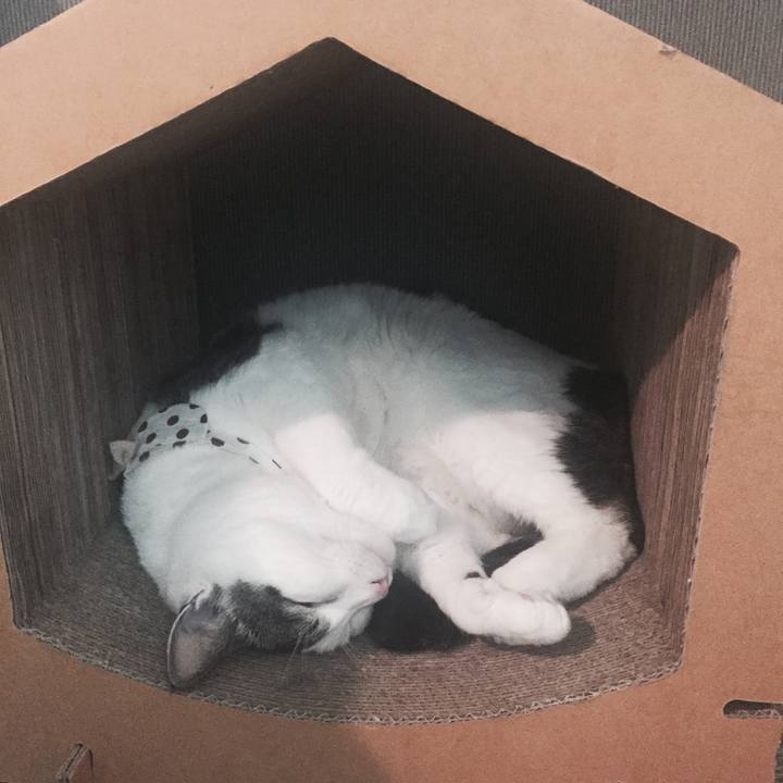 A018de9d 3642 4de9 b3f3 423e81b4c9d4