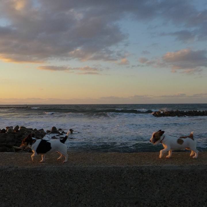 A019200c 7890 406e afd5 8add1d46b125