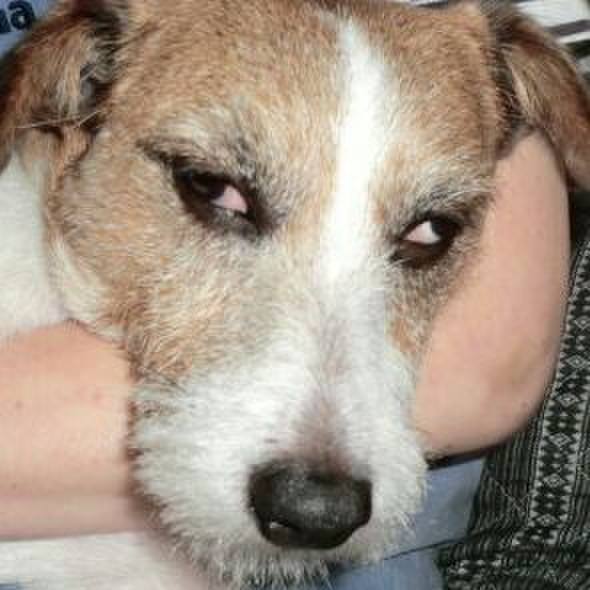 A019396b 92fb 4a11 b5cd 94a7f4cfc12f