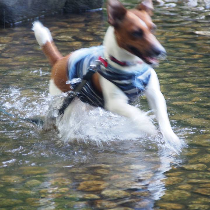 A0199832 345e 4fc8 b329 6f572d5393d6