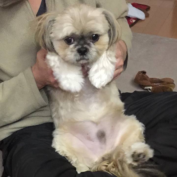 A019baf0 9069 4d47 9e53 397b0cc6e3e4