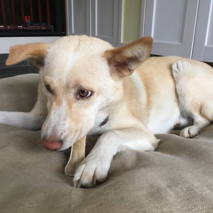 A01af041 6a87 4ee1 8831 07c3d38757ee