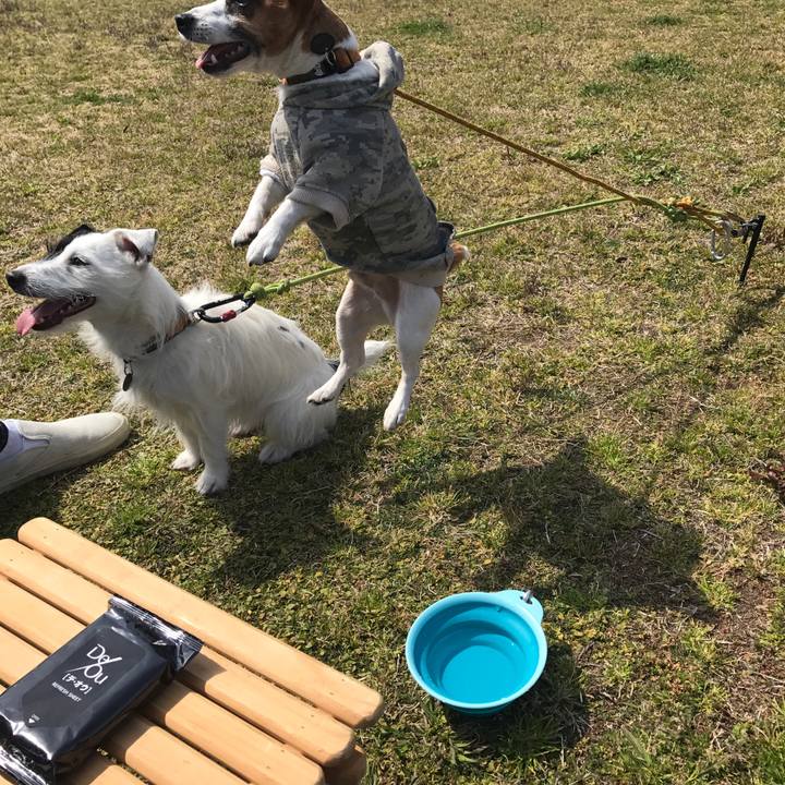 A01afb2e 5187 43e6 a3a5 09bb430a6349