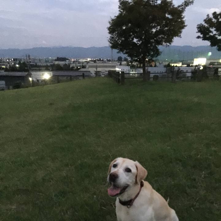 A01b4bee 4286 4e90 9a4c 471b7e4db26e