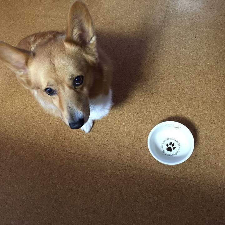 A01b67cb 3497 419f b0c4 322b1e13d717