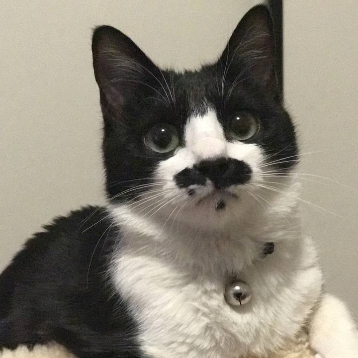 A01c1f12 261a 4996 911c b50e50348b78