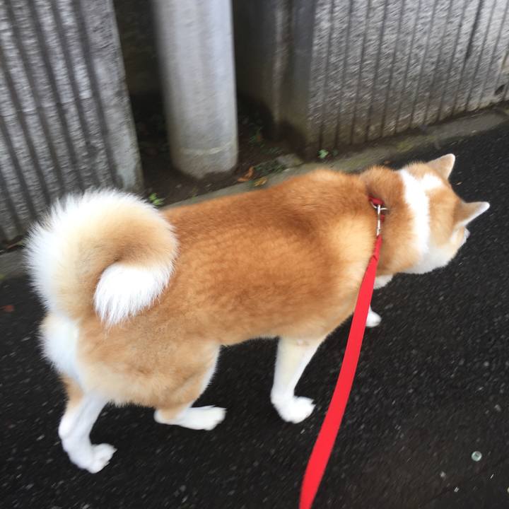 A01c6e31 519a 4321 bf12 b6eb11f75098