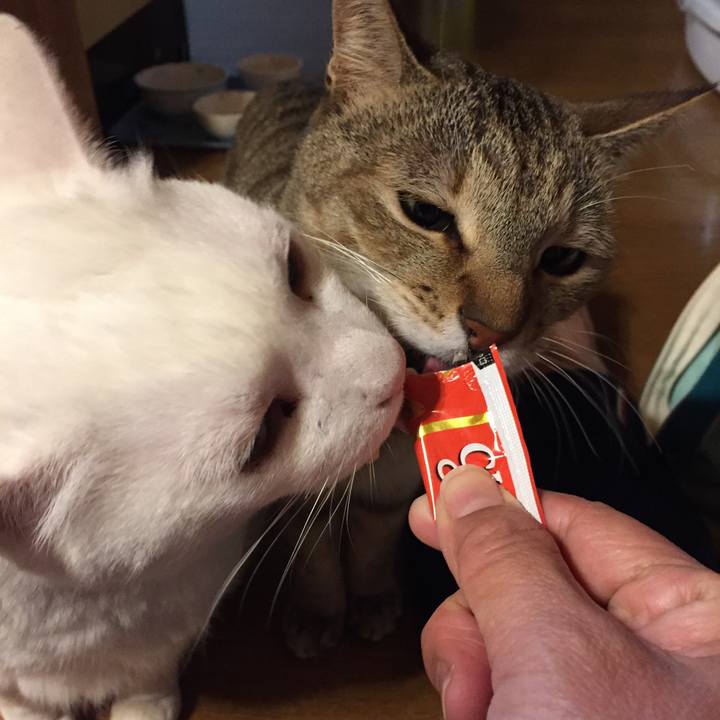 A01caccf eba0 43a8 b1ab 538d18026aa3