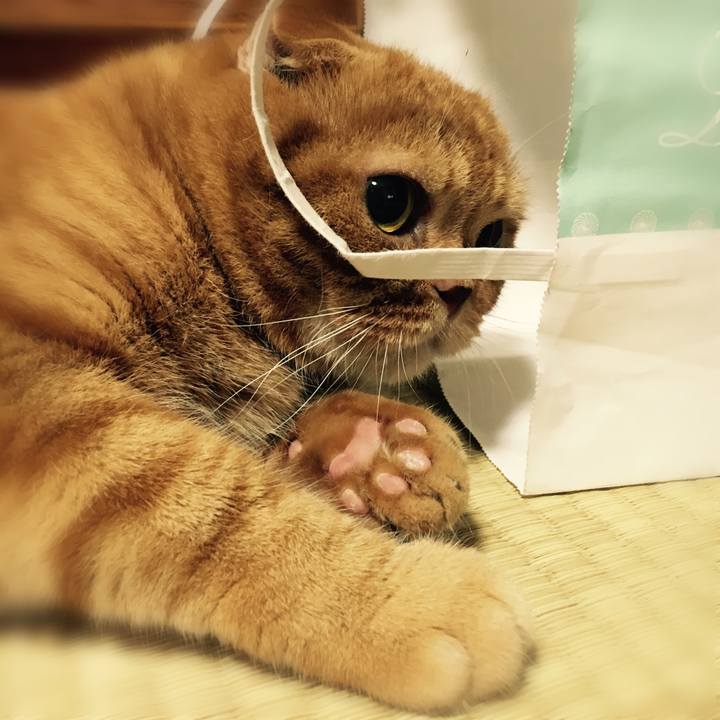 A01cd372 07bc 4a38 a196 e779dc64e0ab