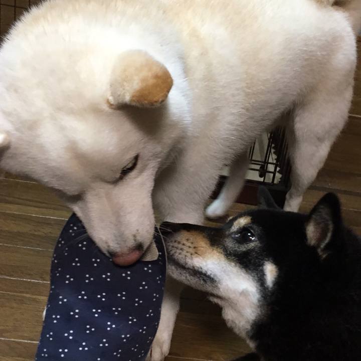 A01d0179 430a 4817 9270 e22b926c9113