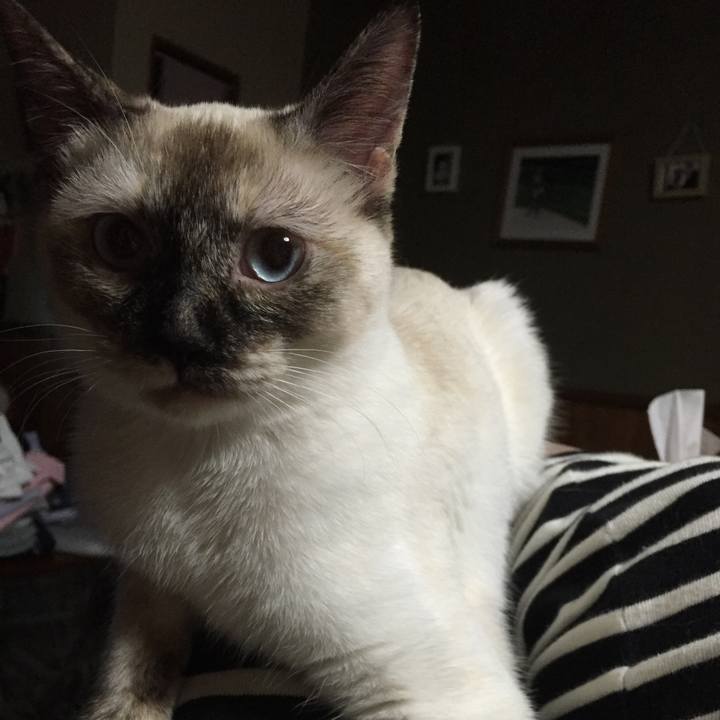 A01d1fa0 5cb9 4a32 98fb fb2a67bd39a1