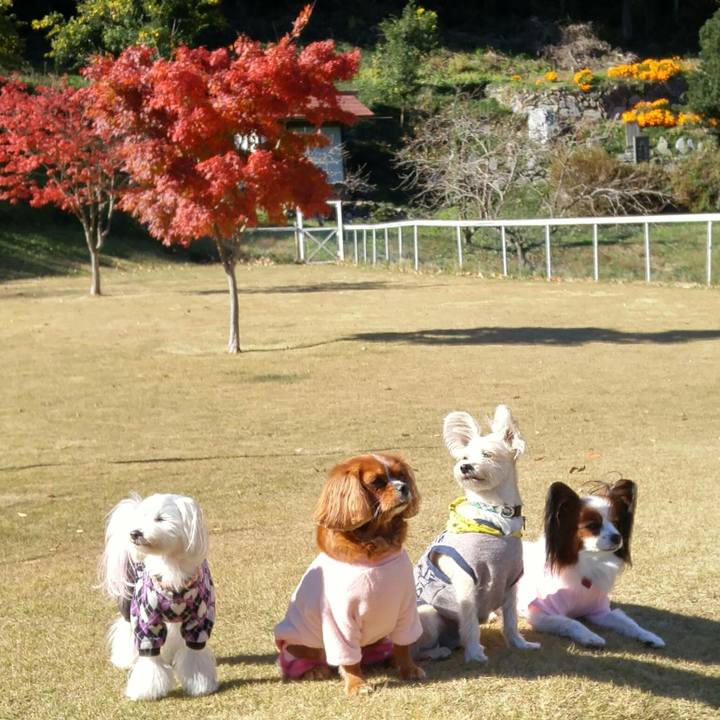 A01d4d04 7f0f 4fc9 85d9 1591279ba5bf