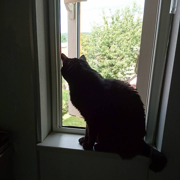 A01d4d99 dc78 47fb a5b1 d5c2460f8030