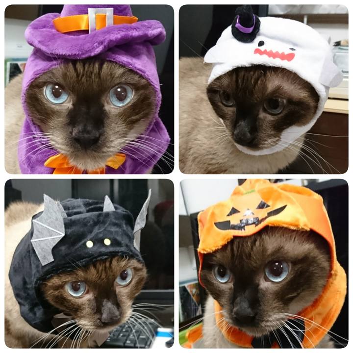 A01dd41a cb75 41c9 888b 957acdc09b4f