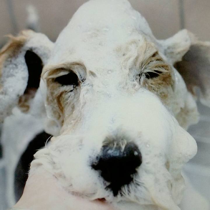 A01e8d20 ebcc 4b92 a626 2f8d76e484f2