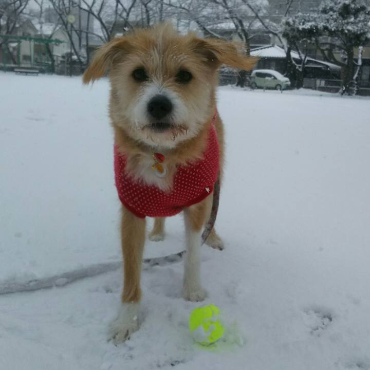 A01eb026 a81f 4a9d 9b47 88fa9cd5194e