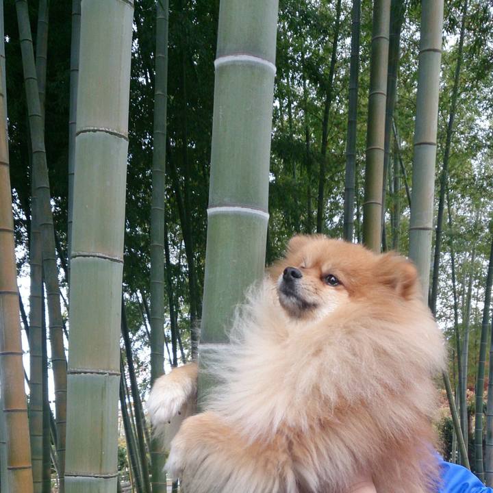 A01ef909 a2da 4638 af6a be555a40603e