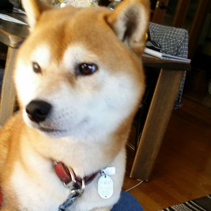 A01f1f65 db56 4186 ae89 31b35c4f6cc1