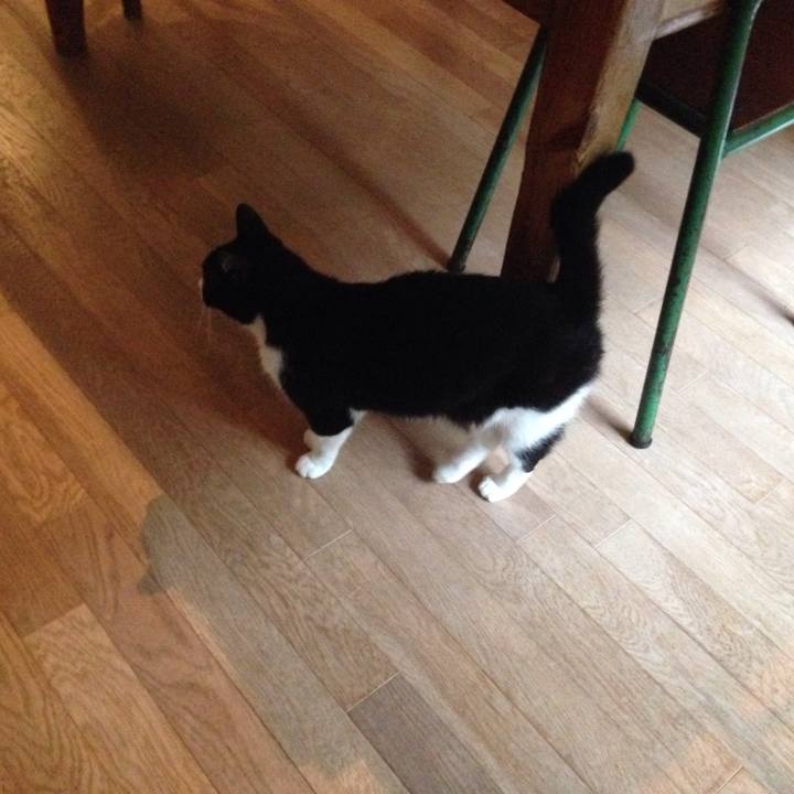 A01fac7d f3cd 4028 801d 6e27f39362fa