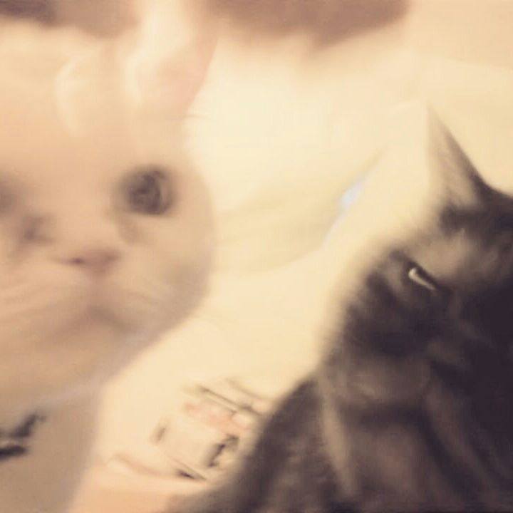 A01fc8ca 3cc0 4c0e 9658 5e829489d9a8