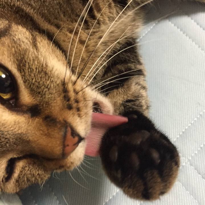 A02076ed bf48 43f7 a809 9d9380226323