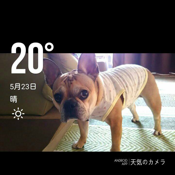 A020868f a5c4 4ee4 bd6a f4dc949bc6b2