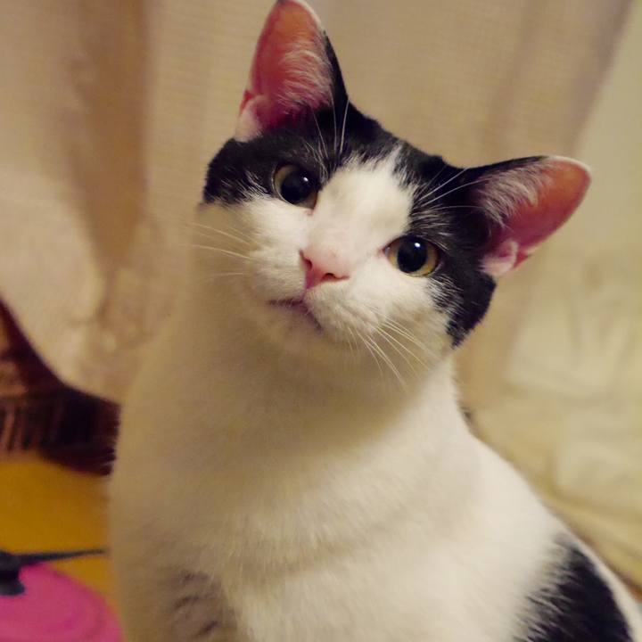 A02121fb a7a8 48cd 9102 6aa36327dc69