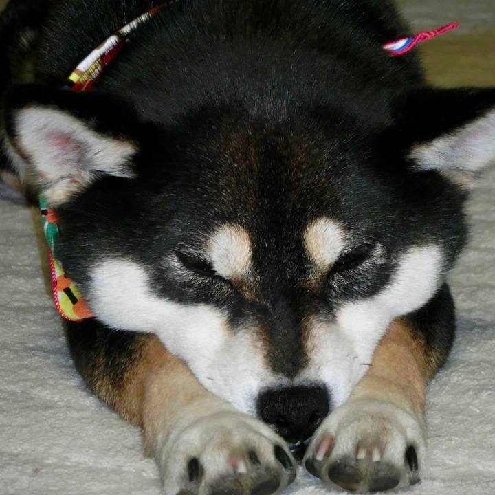 A021ec34 d01f 4f7b b966 b77efdb51dcf