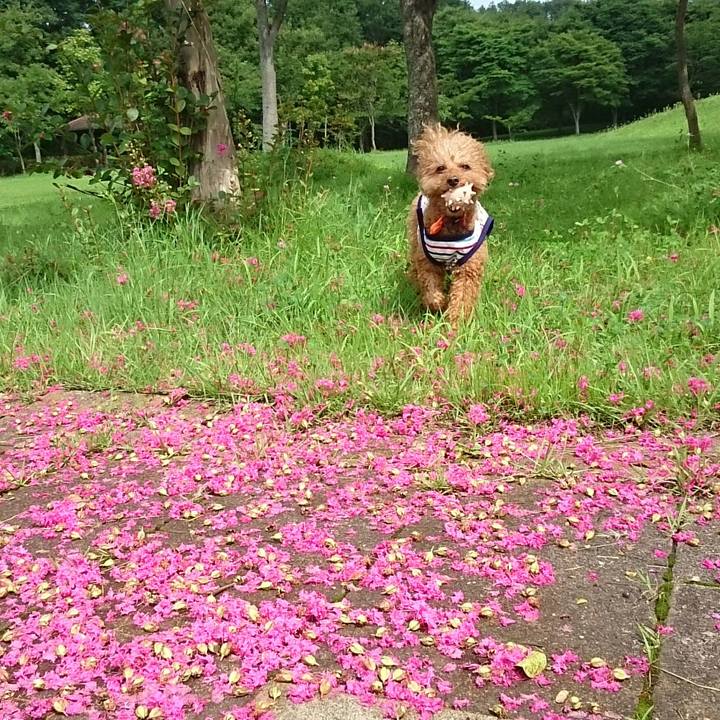 A021f15d e7fa 4cec 851c 48158be7da58