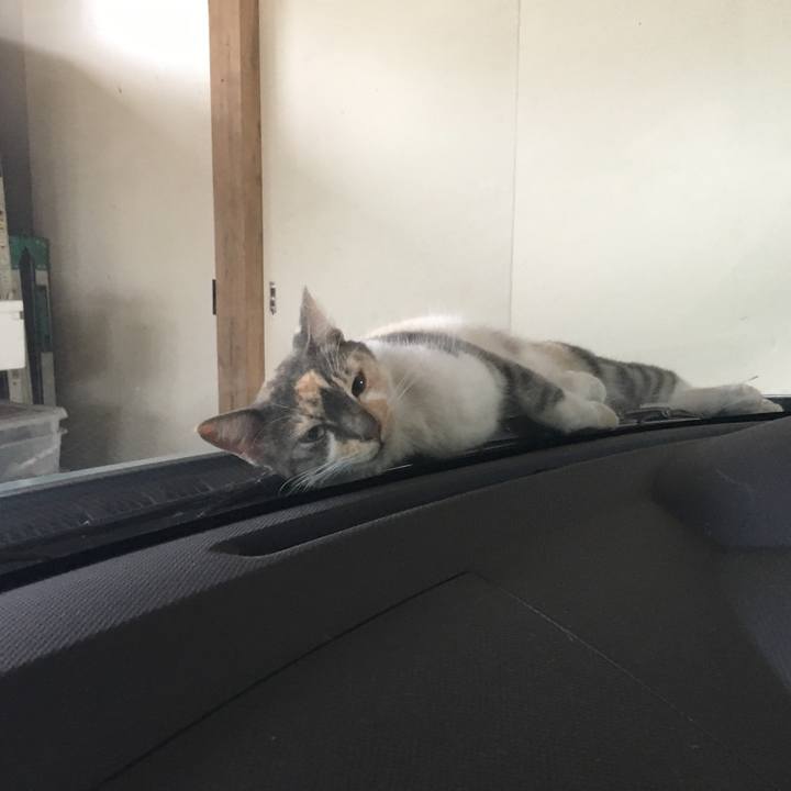 A022752b 2184 4aea 8a9c 8fd80a7bbc18