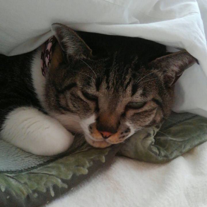 A0238a94 a8e2 4c9b 90e0 d827abf548d2