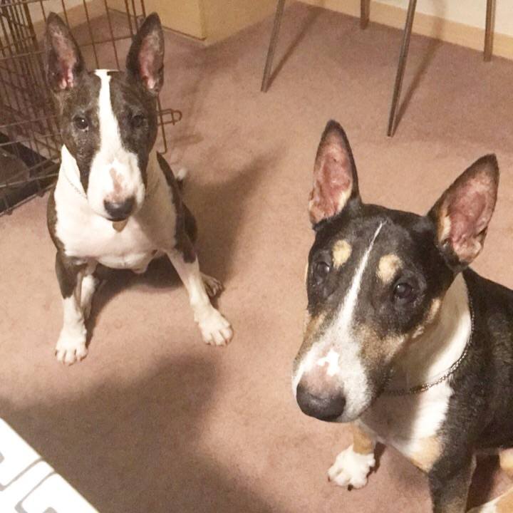 A023bd9e 38fa 45da af0c 0fe8a4b08602