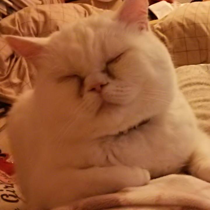 A024fad4 ff73 486c 80f6 1922e430414a