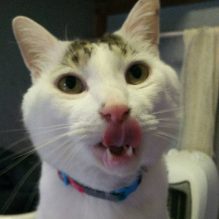 A0252e52 c96e 4b20 b495 99a271edc74a