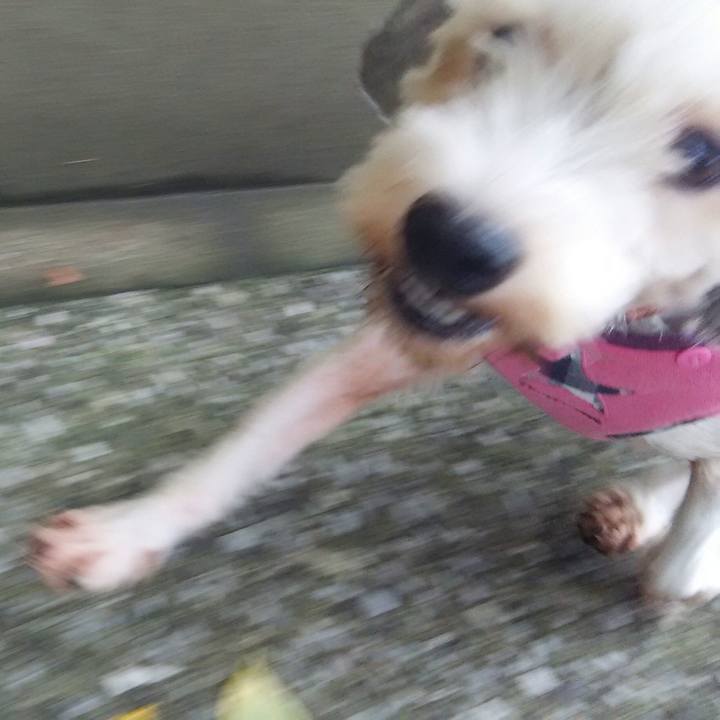 A0254d31 fc2d 4648 aa7c 220698eec3db