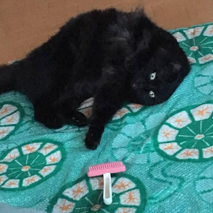 A0256644 2dc8 4c2b b5ea 01c824851f34