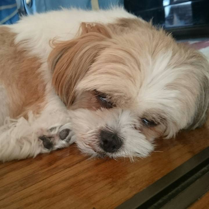 A025ac10 b9db 43c0 bc81 3cc52c250d2e