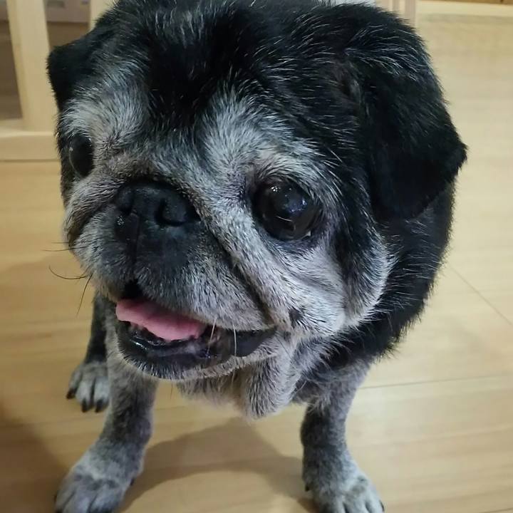 A0268f68 144f 4deb 89c9 2a6869d2fc6f