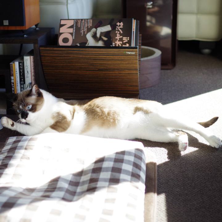 A0270af3 3ff4 4155 83e3 28a2d73264d7