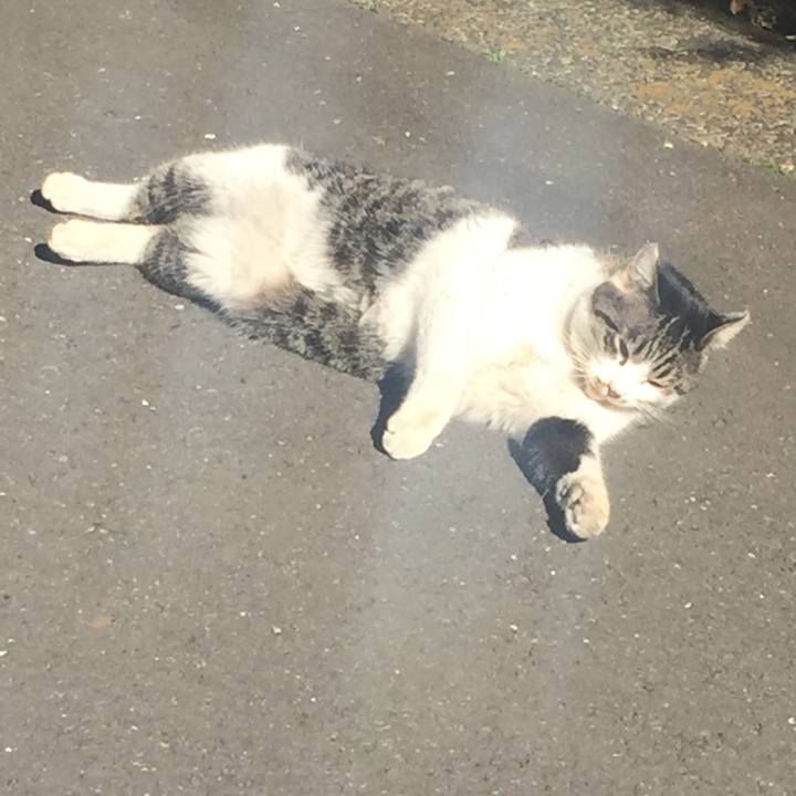 A02788ed 849a 43de 9da8 bf139534f59d