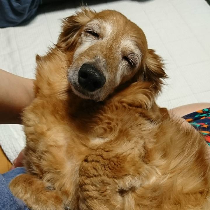 A027c7fa fabf 4f3e ae79 736ecd3ddd1a