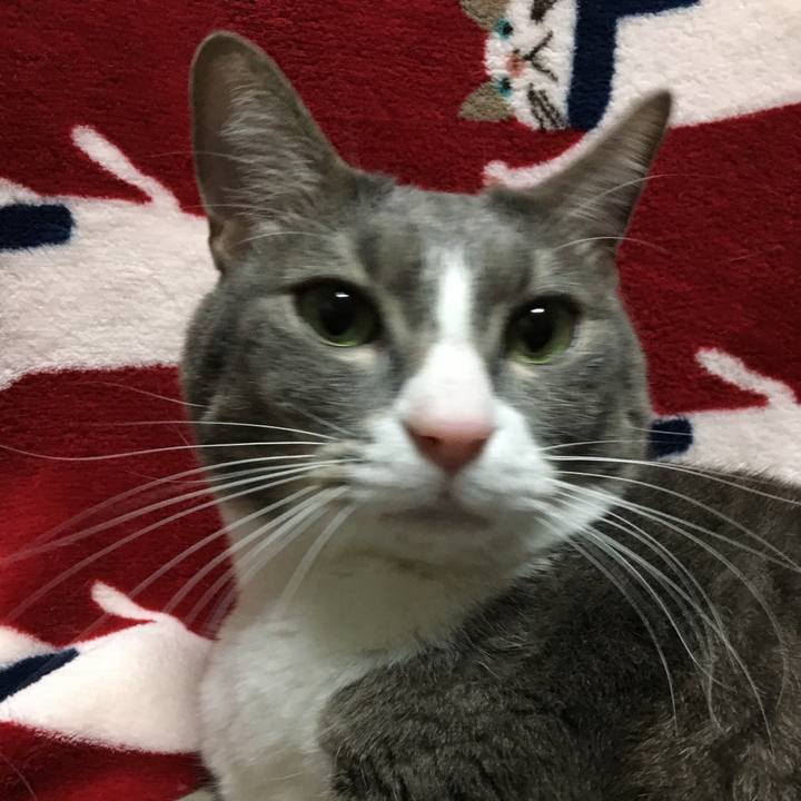 A027d1e8 f25b 4165 a055 f364f15b20a8